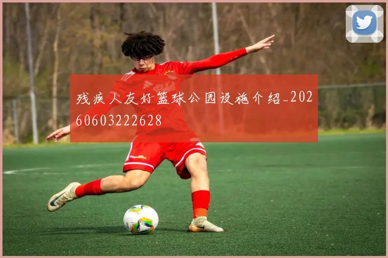 残疾人友好篮球公园设施介绍_20260603222628