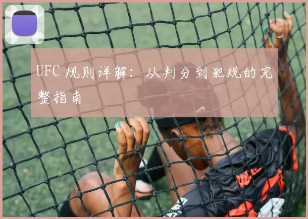 UFC 规则详解：从判分到犯规的完整指南