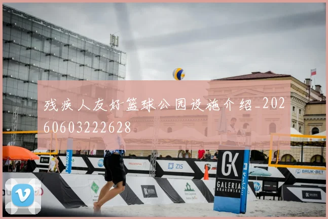 残疾人友好篮球公园设施介绍_20260603222628
